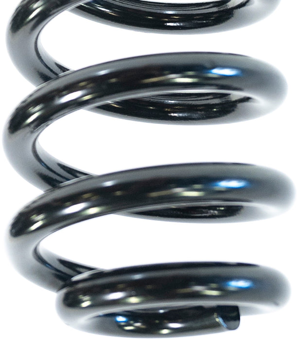 Camburg Engineering 2005-2024 F-250 Super Duty | F-350 Super Duty 4WD Gas Camburg Series Coil Spring Set