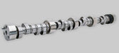 RAYLAR Naturally Aspirated Camshafts