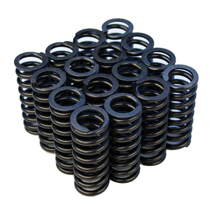 Blox Racing Valve Springs - D-Series