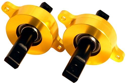 Rear Trailing Arm Spherical Bearing Kit - Civic / Integra